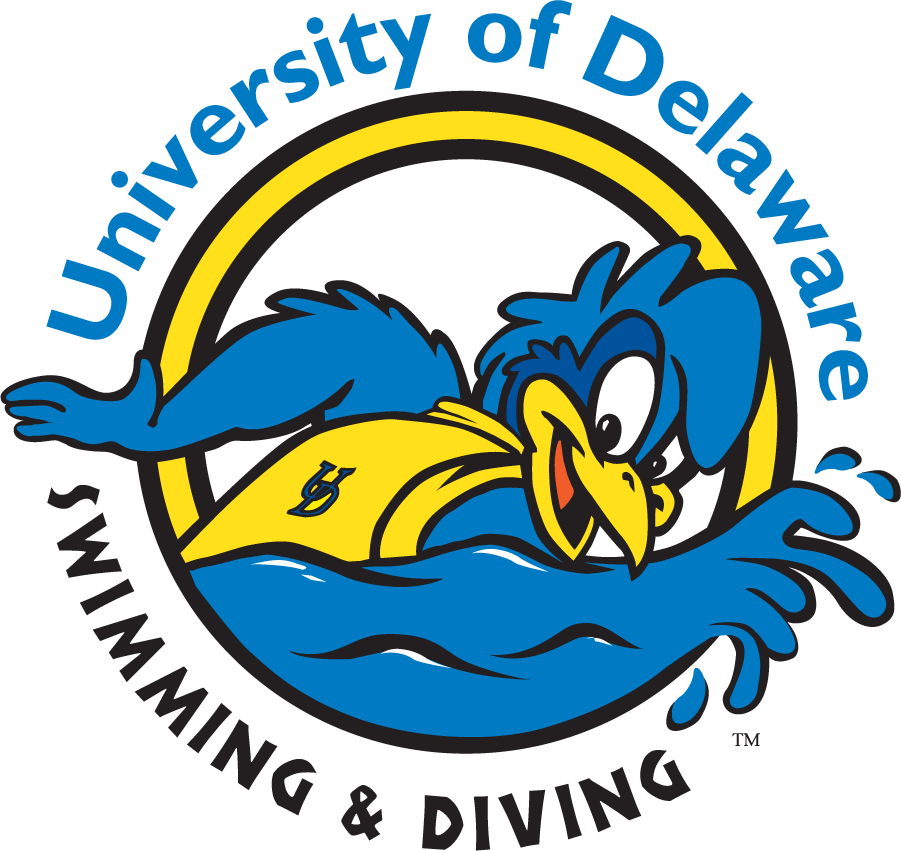 Delaware Blue Hens 1999-2009 Mascot Logo v9 iron on transfers for T-shirts
